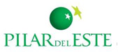 Logo Pilar Del Este
